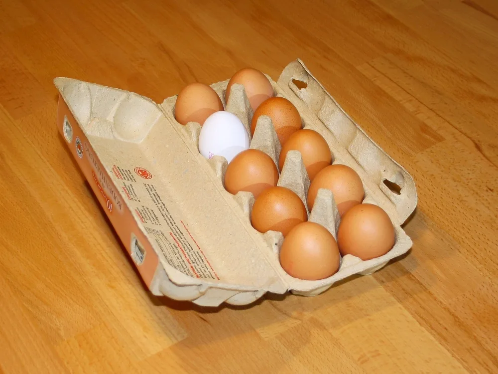 Яйцо куриное
